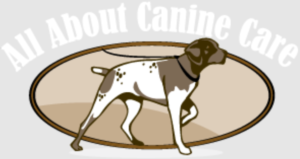 All About Canine Care